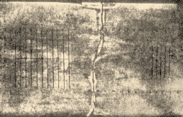 Figura 1 – L’abaco di Salamina