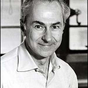 Image of Serge  Lang