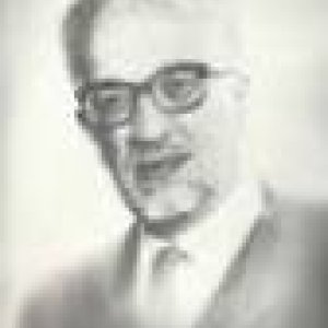 Image of Luigi  Campedelli